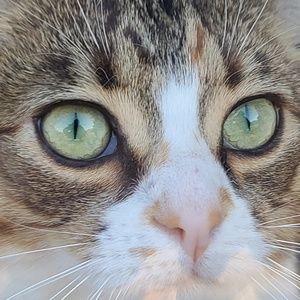 Meet your Posher, Nolan